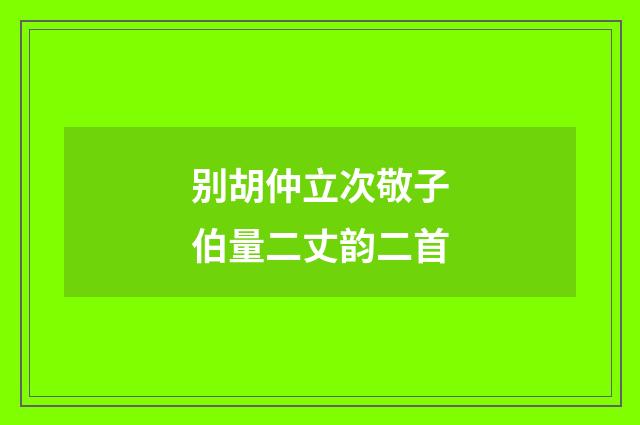 别胡仲立次敬子伯量二丈韵二首