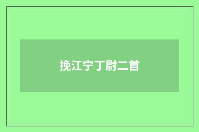 挽江宁丁尉二首