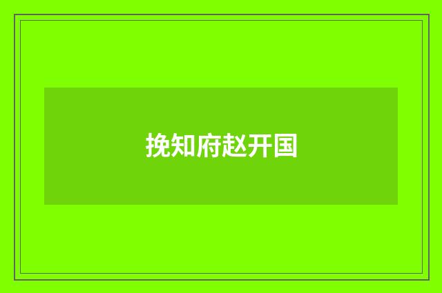挽知府赵开国