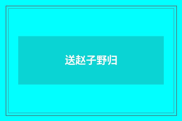送赵子野归