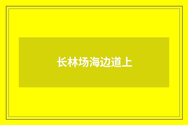 长林场海边道上