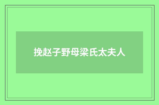 挽赵子野母梁氏太夫人