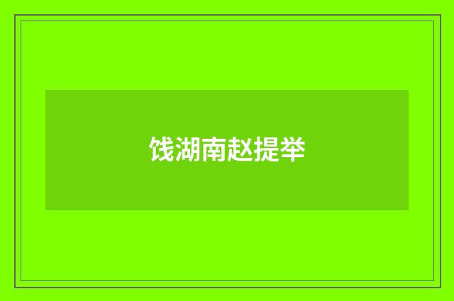 饯湖南赵提举