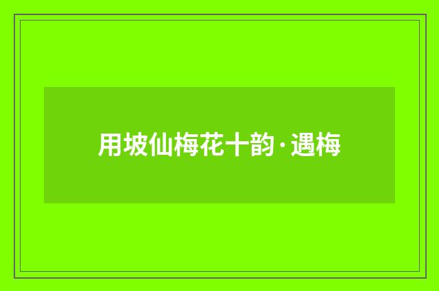 用坡仙梅花十韵·遇梅