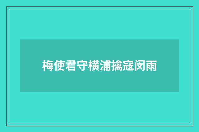 梅使君守横浦擒寇闵雨
