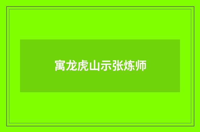 寓龙虎山示张炼师