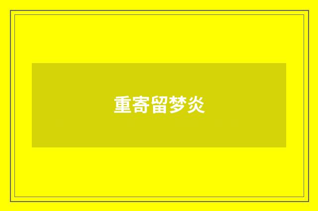 重寄留梦炎