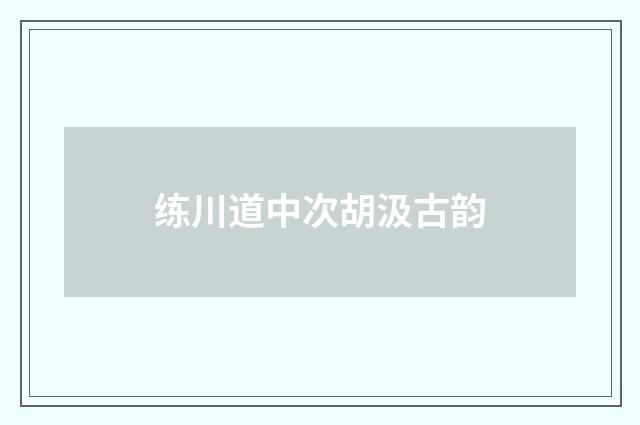 练川道中次胡汲古韵