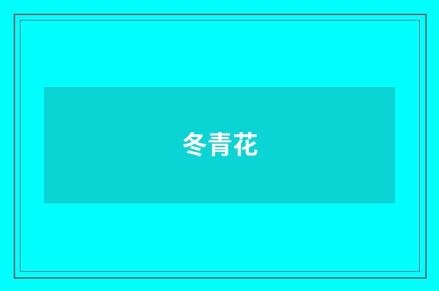 冬青花