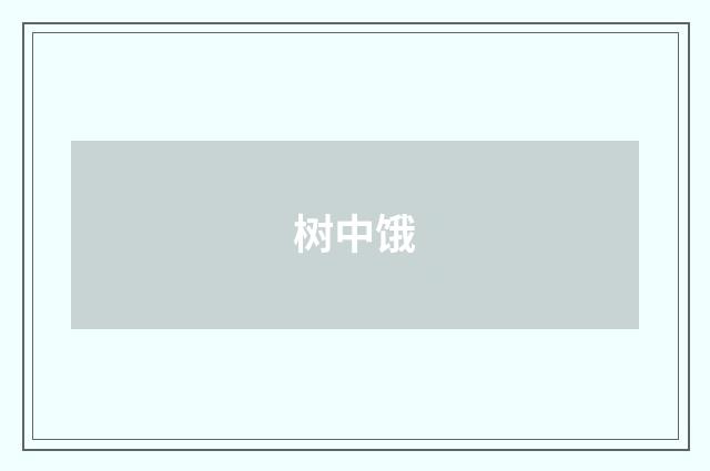 树中饿