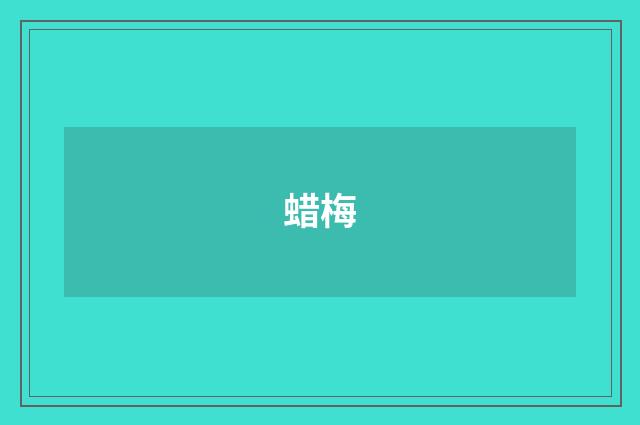 蜡梅