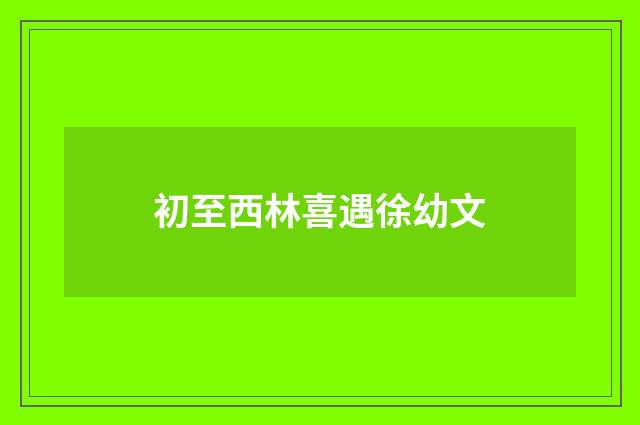 初至西林喜遇徐幼文