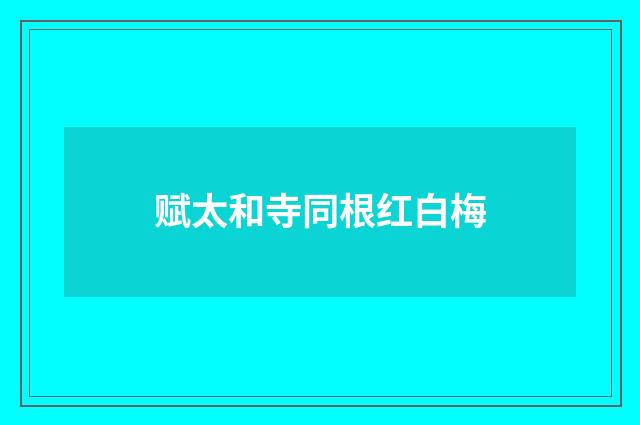 赋太和寺同根红白梅