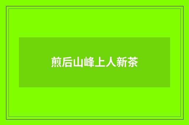 煎后山峰上人新茶