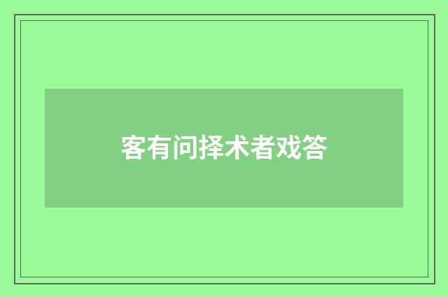 客有问择术者戏答