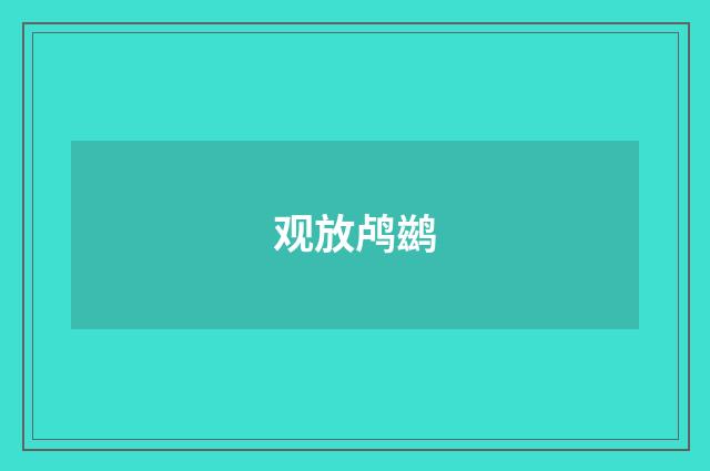 观放鸬鹚