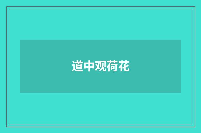 道中观荷花