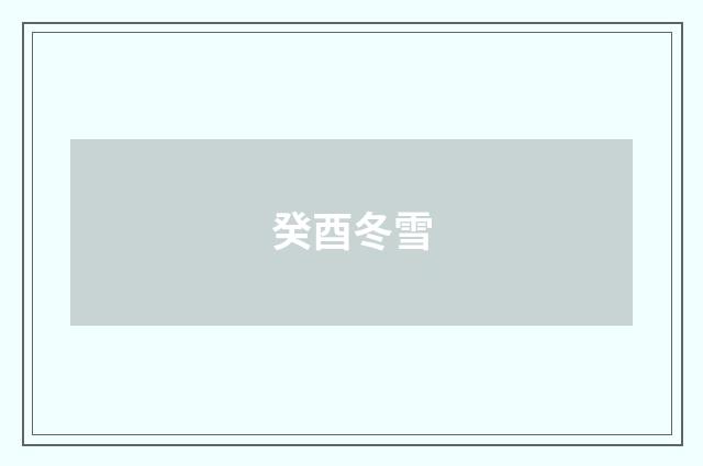 癸酉冬雪