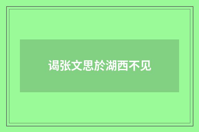 谒张文思於湖西不见