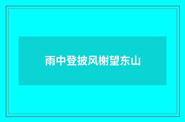 雨中登披风榭望东山