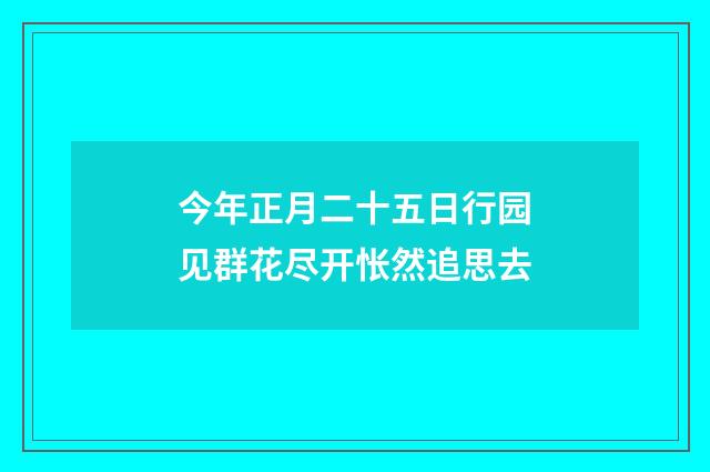 今年正月二十五日行园见群花尽开怅然追思去