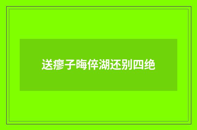 送瘳子晦倅湖还别四绝