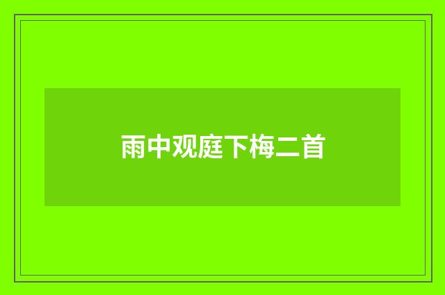 雨中观庭下梅二首