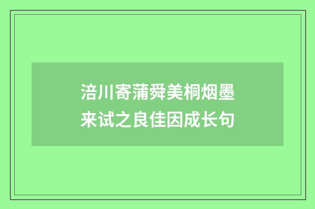 涪川寄蒲舜美桐烟墨来试之良佳因成长句