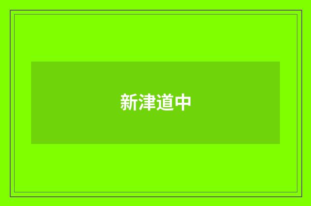 新津道中