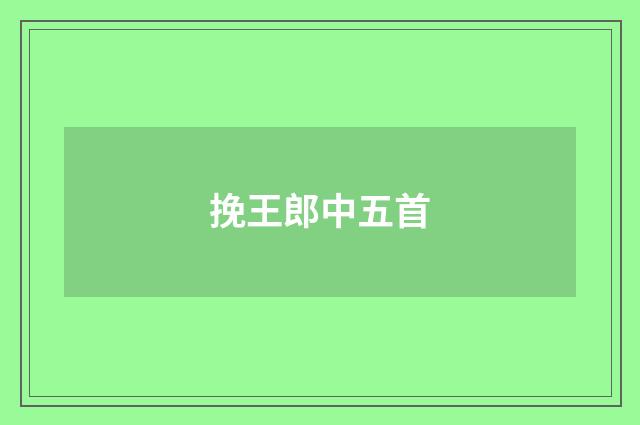 挽王郎中五首