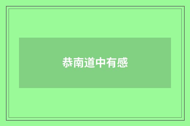 恭南道中有感