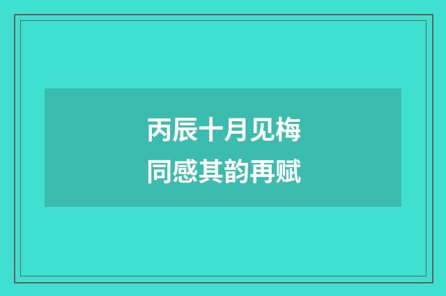 丙辰十月见梅同感其韵再赋