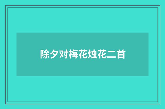 除夕对梅花烛花二首