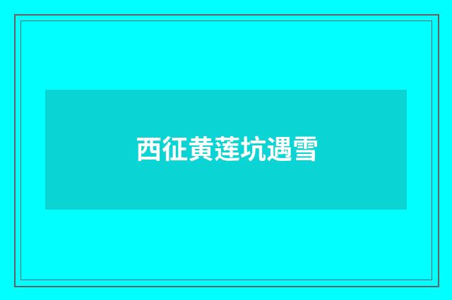 西征黄莲坑遇雪