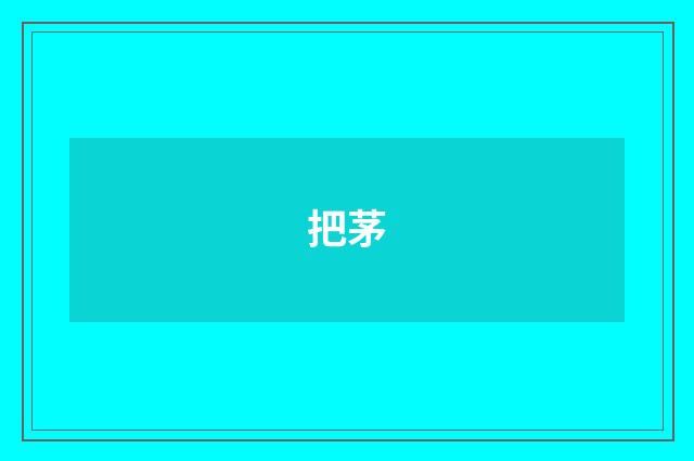 把茅