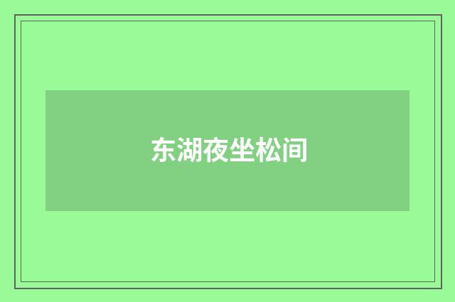 东湖夜坐松间