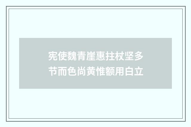 宪使魏青崖惠拄杖坚多节而色尚黄惟额用白立