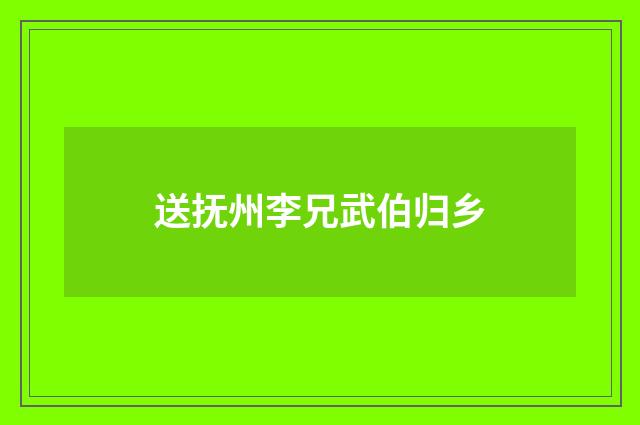 送抚州李兄武伯归乡
