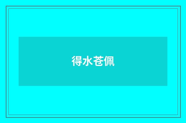 得水苍佩