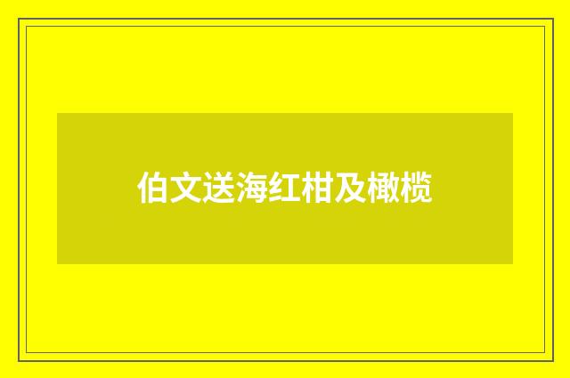 伯文送海红柑及橄榄