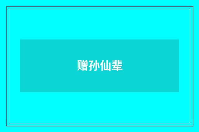 赠孙仙辈