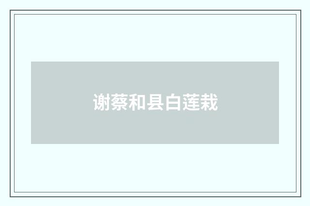 谢蔡和县白莲栽