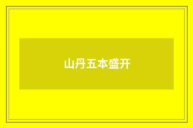 山丹五本盛开