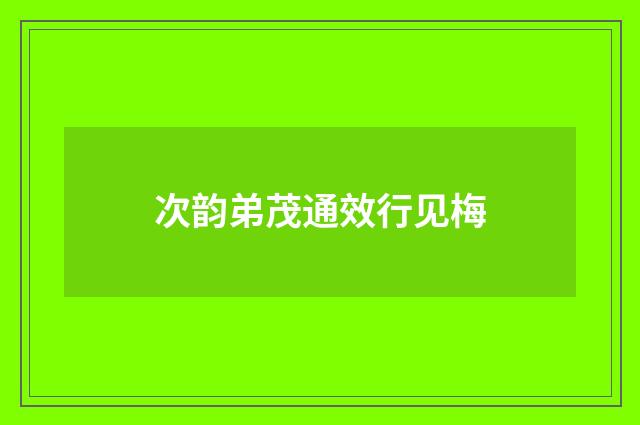 次韵弟茂通效行见梅
