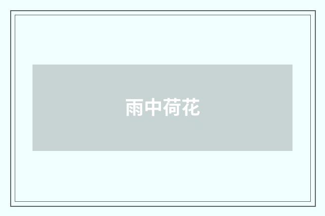 雨中荷花