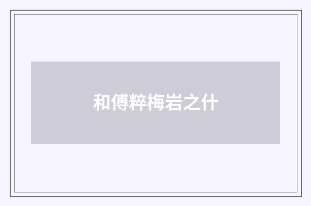 和傅粹梅岩之什