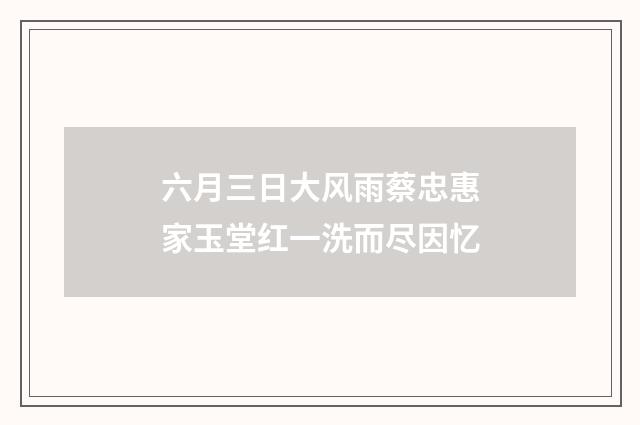六月三日大风雨蔡忠惠家玉堂红一洗而尽因忆