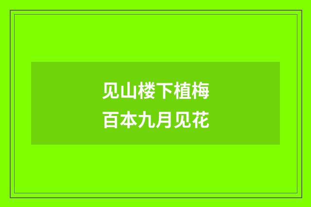 见山楼下植梅百本九月见花