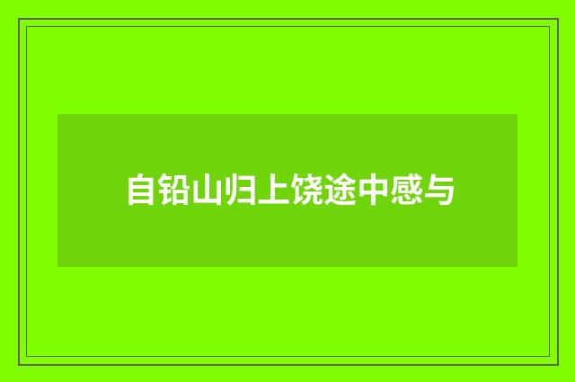 自铅山归上饶途中感与