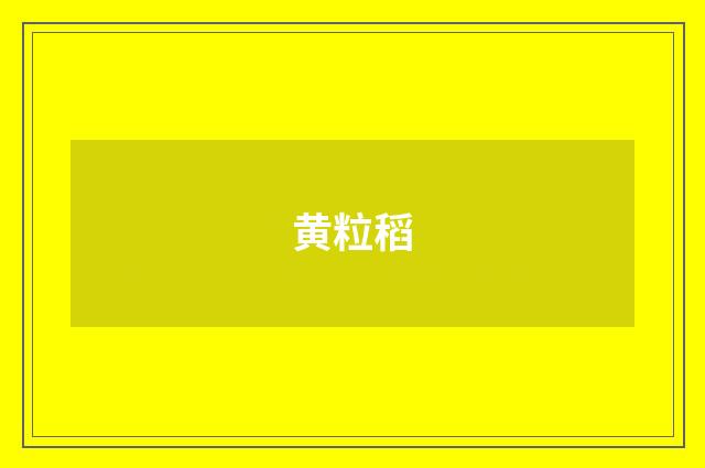 黄粒稻